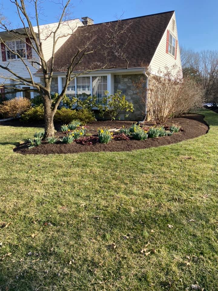 Outdoor patio and pool area project work