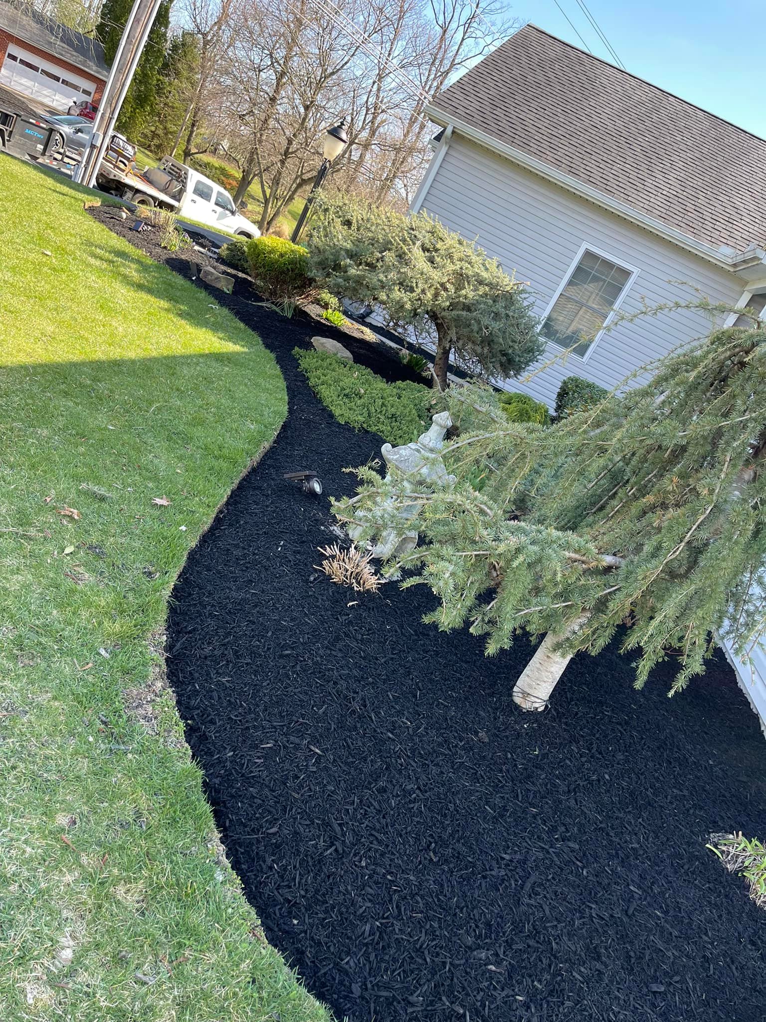 Curved mulch bed and maintained landscape edge